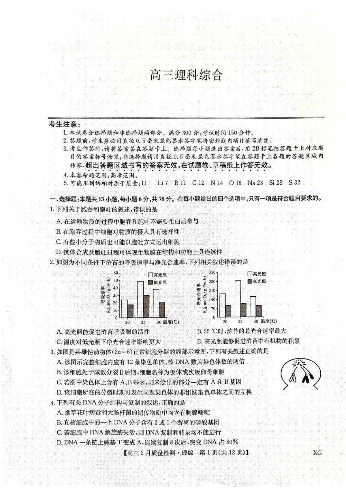 2023年2月九师联盟理综试卷以及答案解析