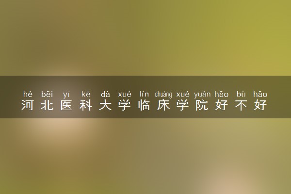 河北医科大学临床学院好不好 口碑怎么样