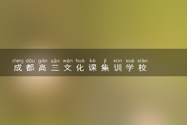 成都高三文化课集训学校