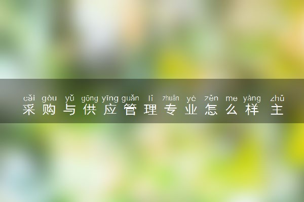 采购与供应管理专业怎么样 主要学什么课程
