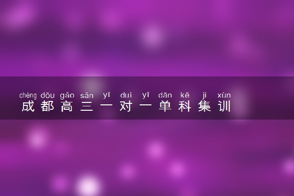 成都高三一对一单科集训