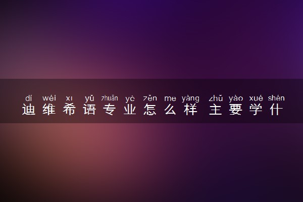 迪维希语专业怎么样 主要学什么课程