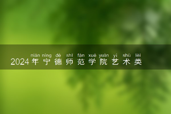 2024年宁德师范学院艺术类专业有哪些