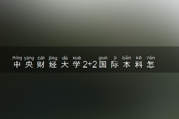 中央财经大学2+2国际本科怎么样