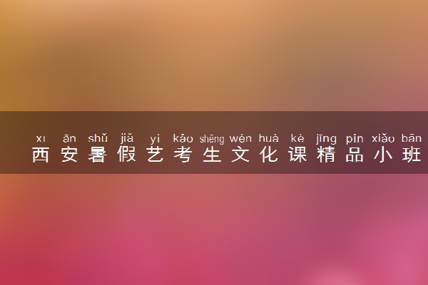 西安暑假艺考生文化课精品小班