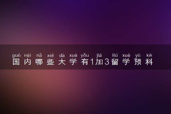 国内哪些大学有1加3留学预科班 1加3是什么意思