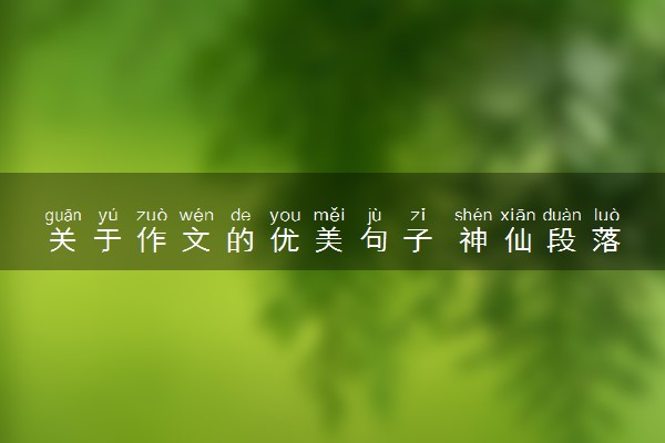 关于作文的优美句子 神仙段落摘抄