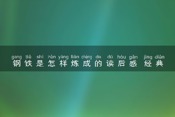 钢铁是怎样炼成的读后感 经典句段摘抄