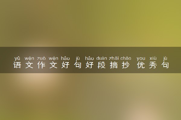 语文作文好句好段摘抄 优秀句段积累