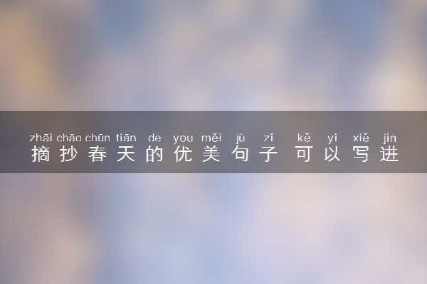 摘抄春天的优美句子 可以写进作文的句子精选