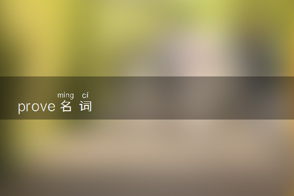 prove名词