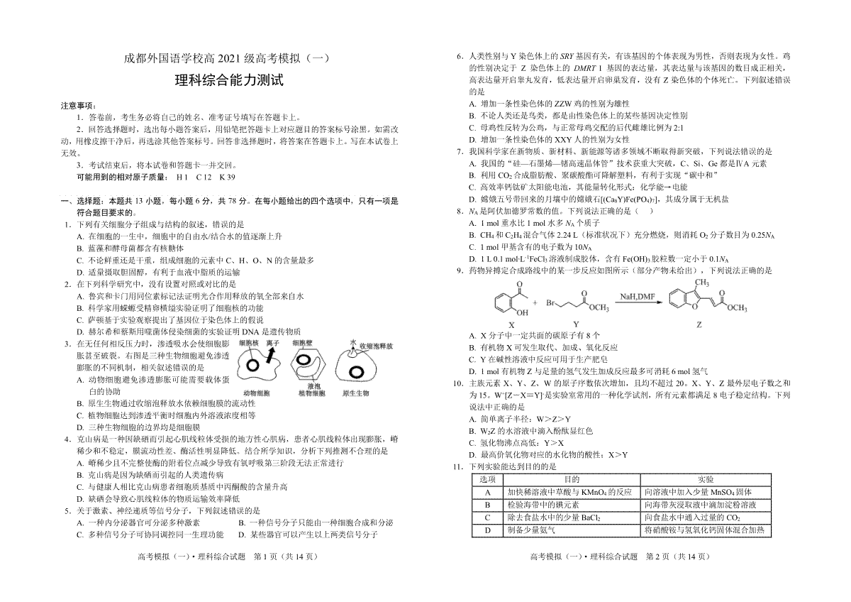 2024届四川省成都外国语学校高三下学期高考模拟（一）考试理科综合试卷