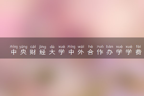中央财经大学中外合作办学学费多少 花钱就能上吗