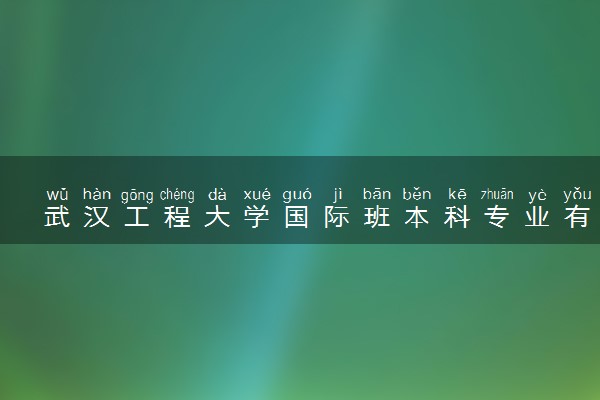 武汉工程大学国际班本科专业有哪些？