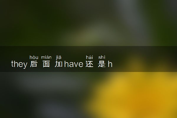 they后面加have还是has