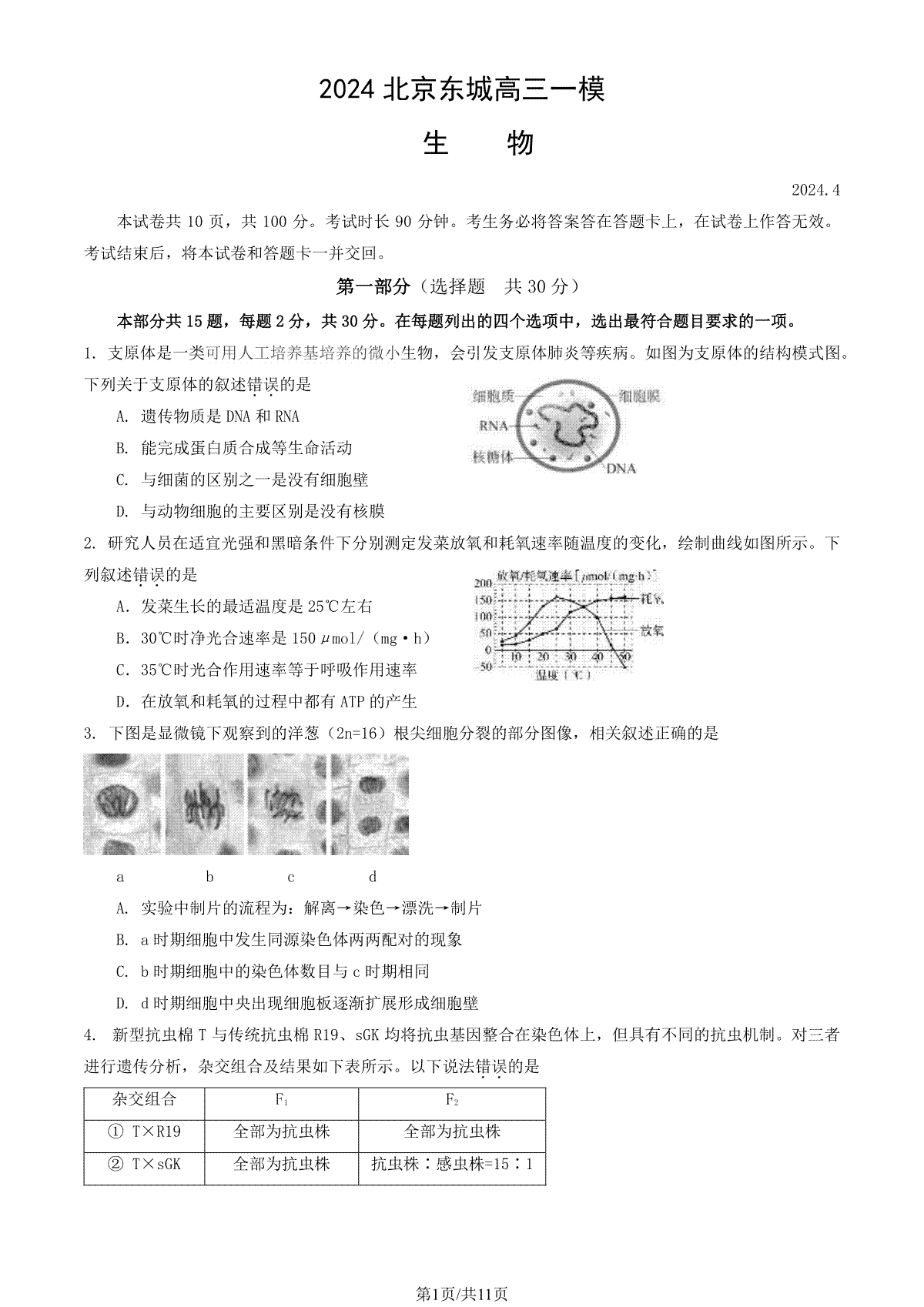 2024北京东城高三一模生物试题及答案