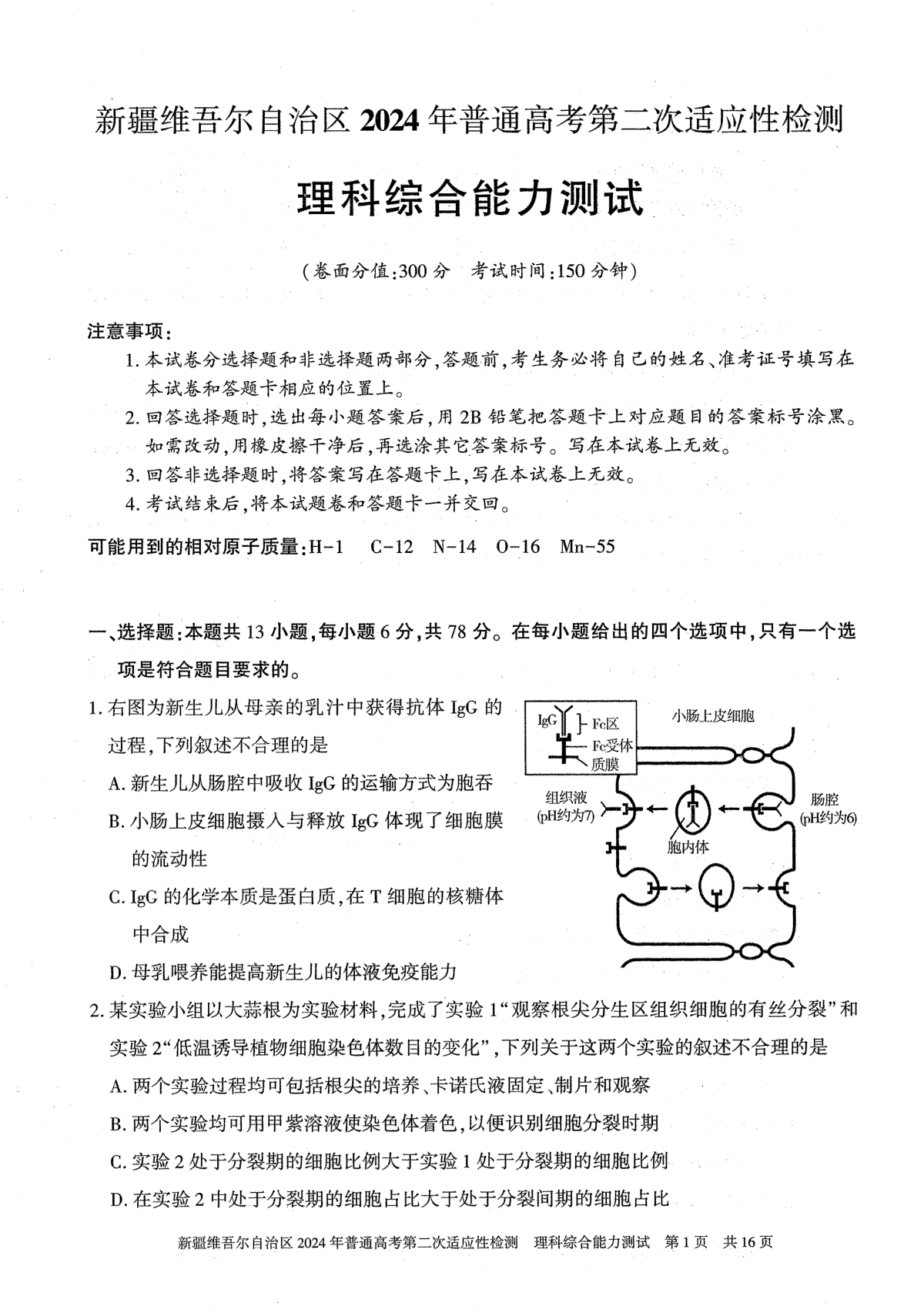 2024届新疆维吾尔自治区高三二模理综试题