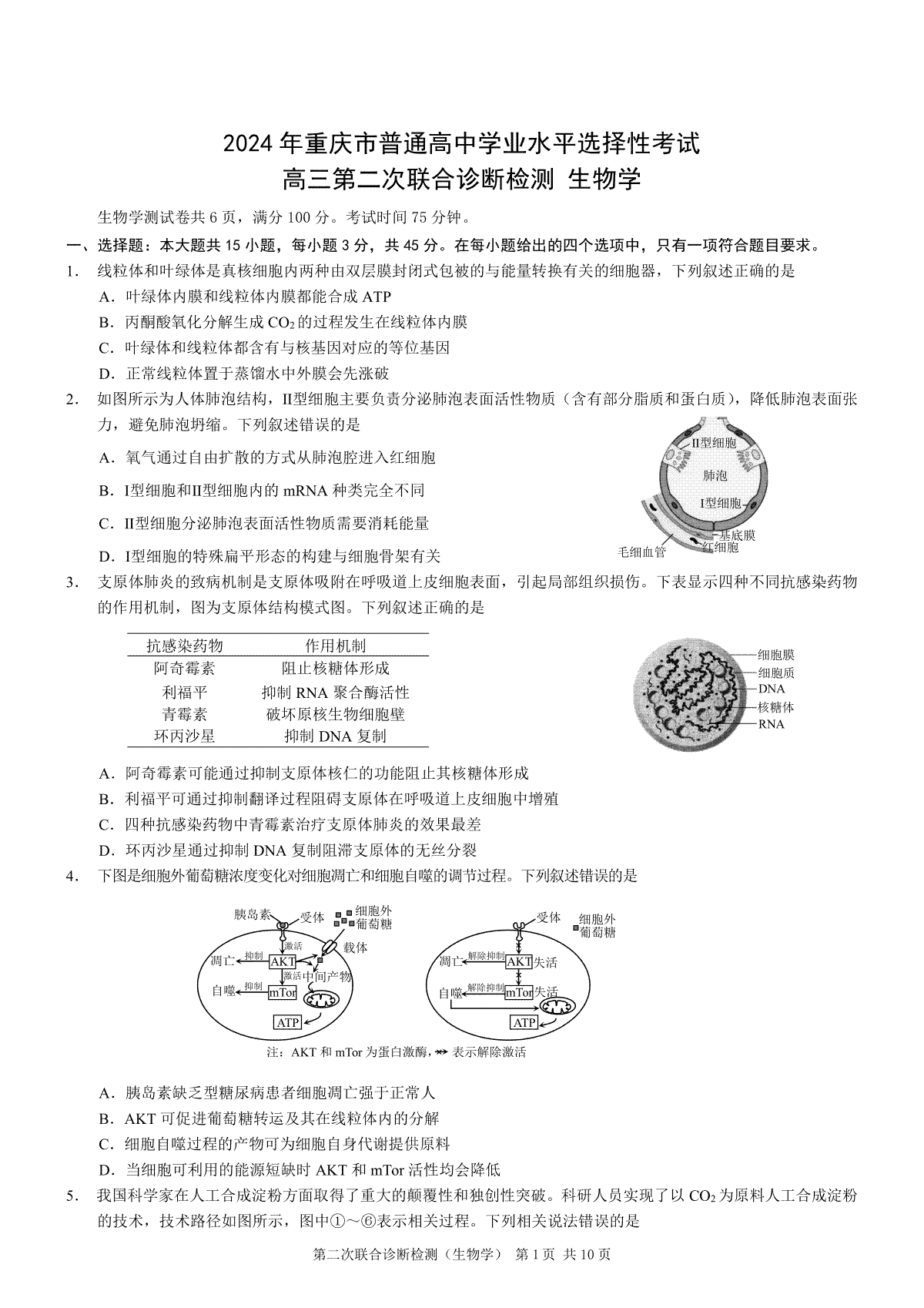 重庆市2024届高三下学期第二次联考诊断检测生物试题答案