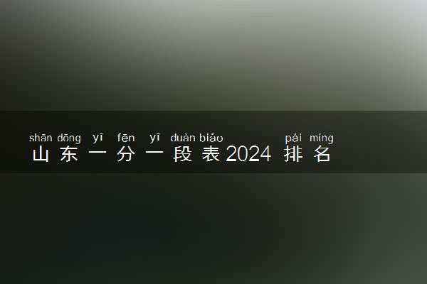 山东一分一段表2024 排名位次查询汇总