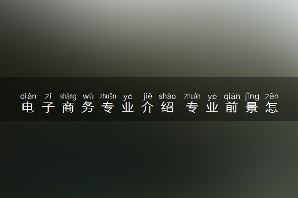 电子商务专业介绍 专业前景怎么样