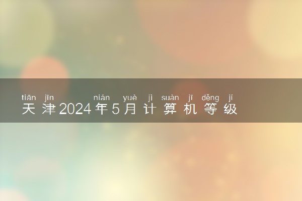 天津2024年5月计算机等级考试成绩查询时间 几号查分