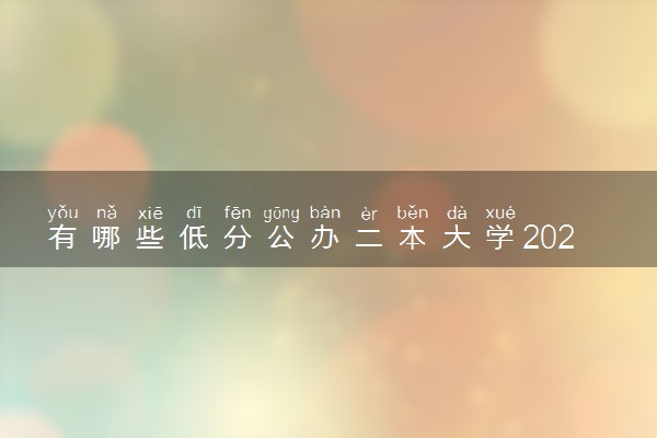 有哪些低分公办二本大学2024 哪些容易捡漏