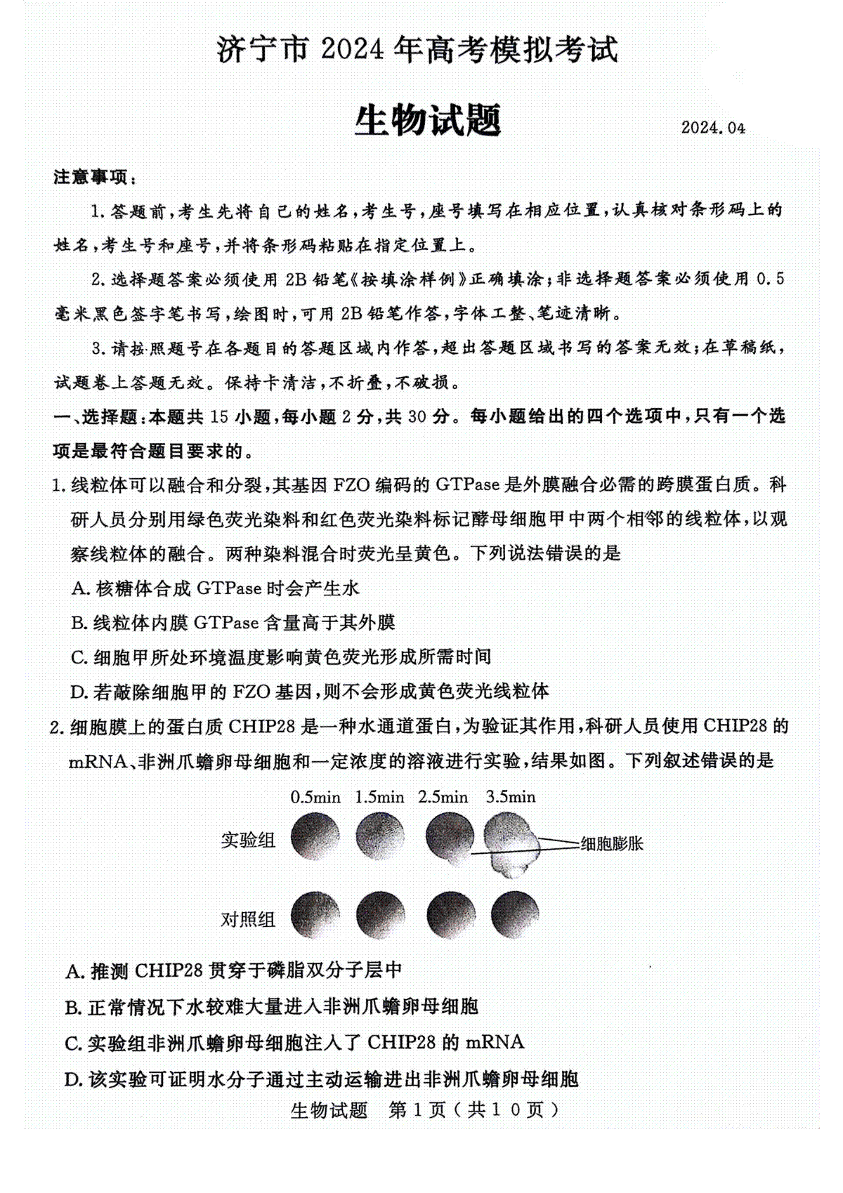 2024年山东省24济宁二模生物试题