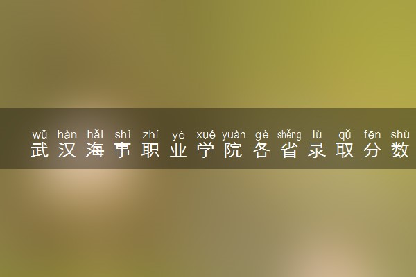 武汉海事职业学院各省录取分数线及位次 投档最低分是多少(2024年高考参考)