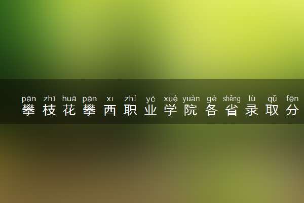 攀枝花攀西职业学院各省录取分数线及位次 投档最低分是多少(2024年高考参考)