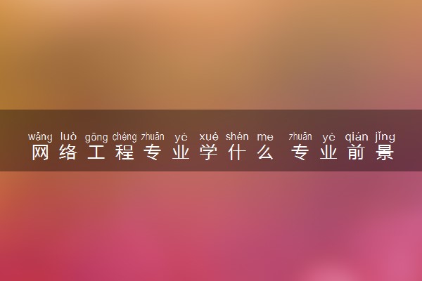 网络工程专业学什么 专业前景怎么样