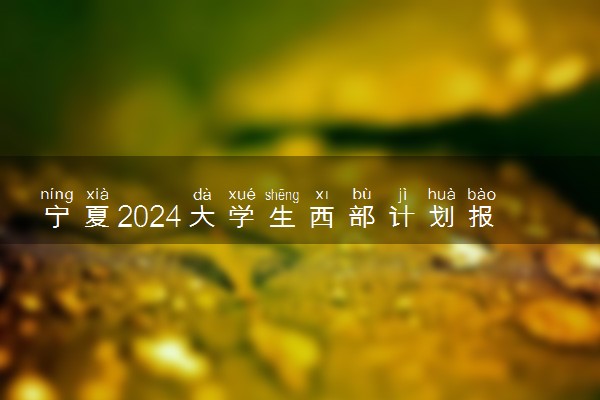 宁夏2024大学生西部计划报名时间 几号报名