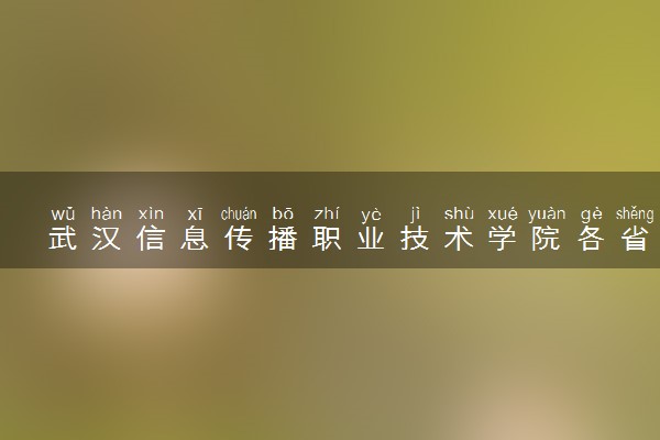武汉信息传播职业技术学院各省录取分数线及位次 投档最低分是多少(2024年高考参考)