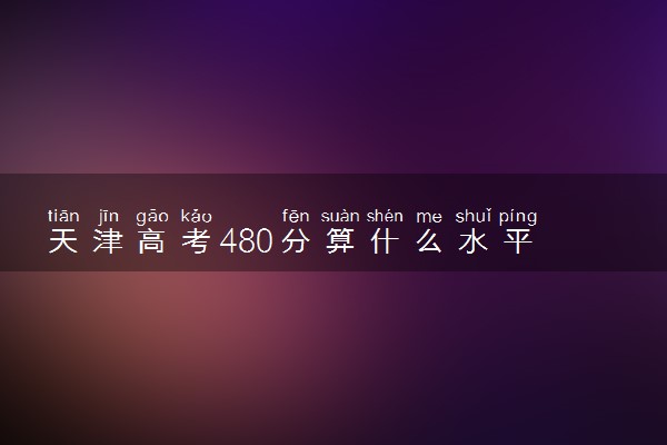 天津高考480分算什么水平 2024能上哪些大学