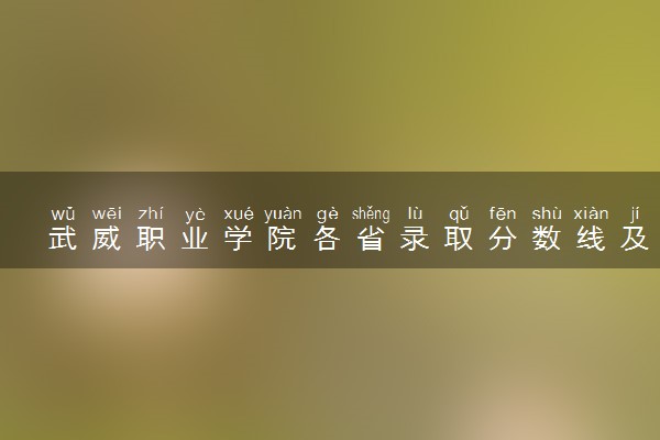 武威职业学院各省录取分数线及位次 投档最低分是多少(2024年高考参考)