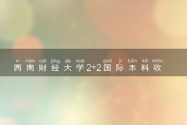 西南财经大学2+2国际本科收费标准
