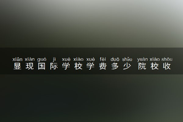 显现国际学校学费多少 院校收费标准