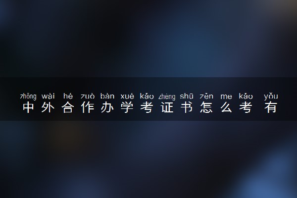 中外合作办学考证书怎么考 有什么要求