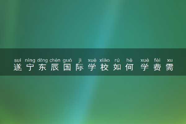 遂宁东辰国际学校如何 学费需要多少