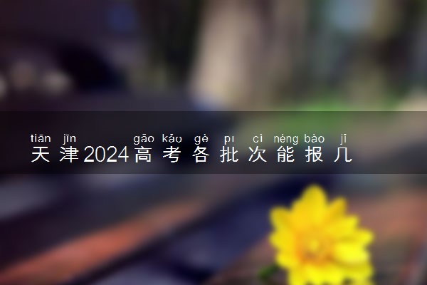 天津2024高考各批次能报几个志愿 可以报几个大学和专业