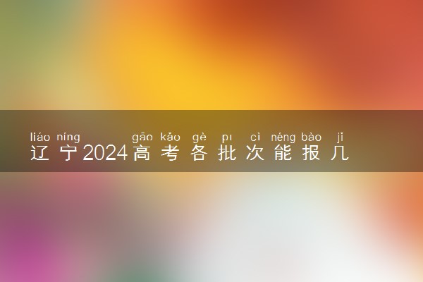 辽宁2024高考各批次能报几个志愿 可以报几个大学和专业