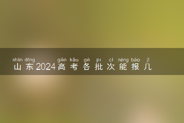 山东2024高考各批次能报几个志愿 可以报几个大学和专业