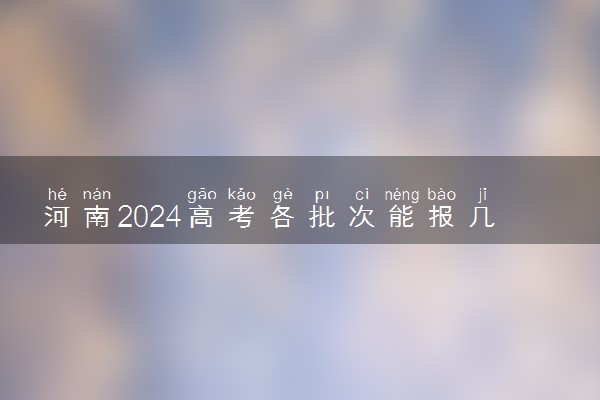 河南2024高考各批次能报几个志愿 可以报几个大学和专业