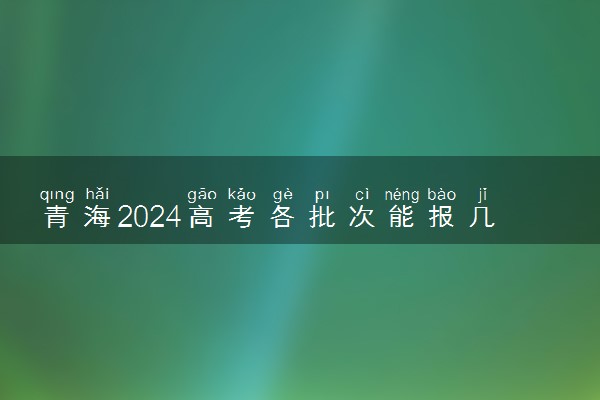 青海2024高考各批次能报几个志愿 可以报几个大学和专业
