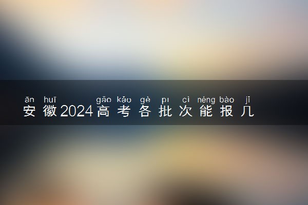 安徽2024高考各批次能报几个志愿 可以报几个大学和专业