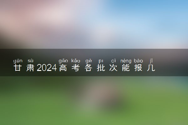 甘肃2024高考各批次能报几个志愿 可以报几个大学和专业