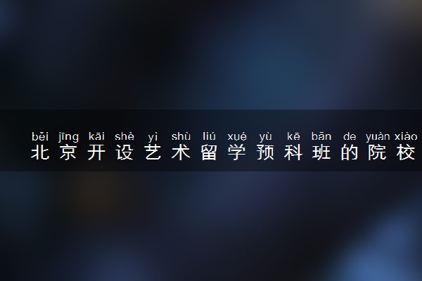 北京开设艺术留学预科班的院校有哪些