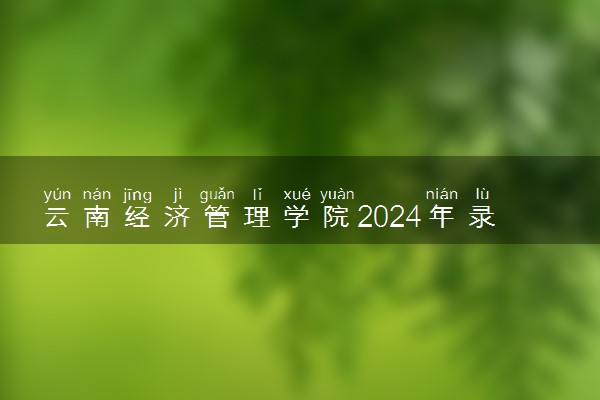 云南经济管理学院2024年录取分数线 各专业录取最低分及位次