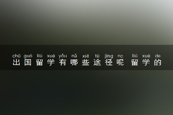 出国留学有哪些途径呢 留学的条件有什么