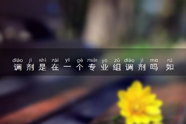 调剂是在一个专业组调剂吗 如何调剂