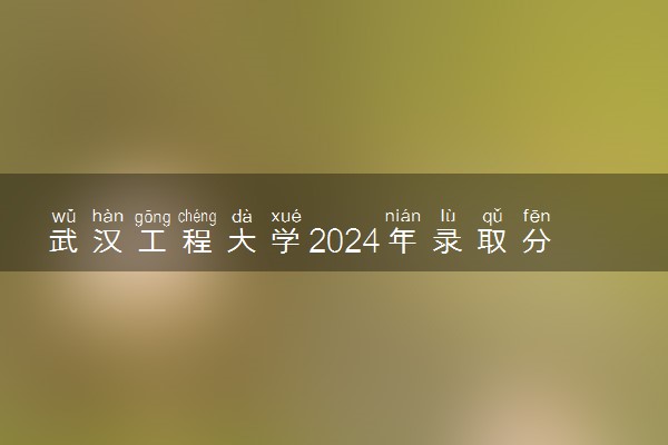 武汉工程大学2024年录取分数线 各专业录取最低分及位次